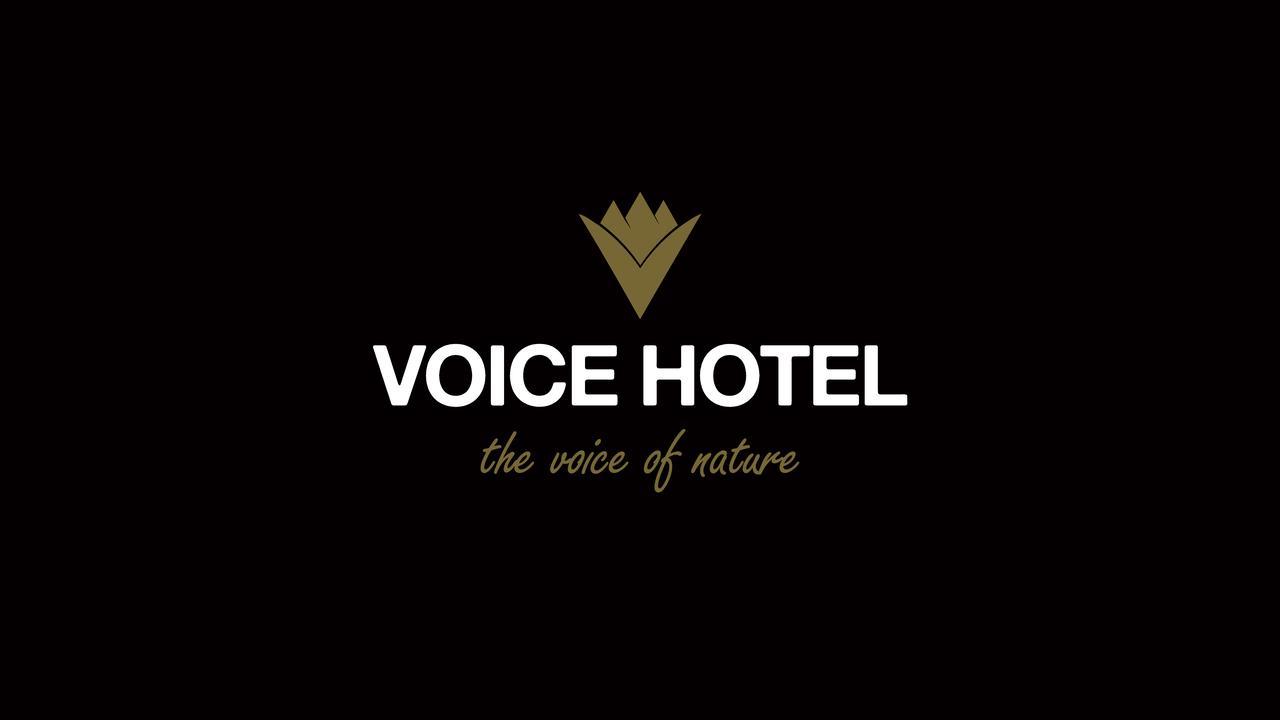 Voice * Macka